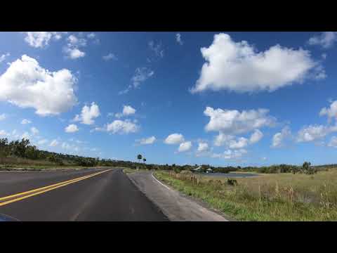 Anhinga Trail - Everglades National Park|Florida, USA 4K