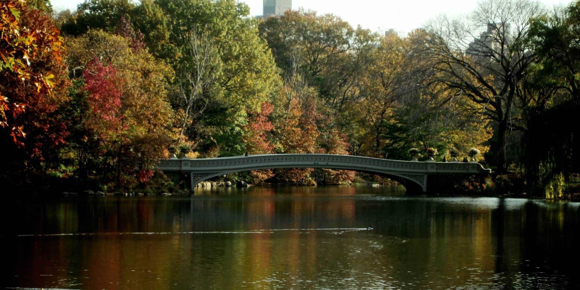 central park