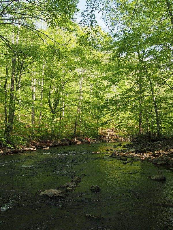 Ridley creek state park